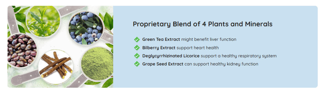 Neuro Surge key ingredients label Bacopa Ginkgo L-Theanine